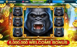 6666 bet app